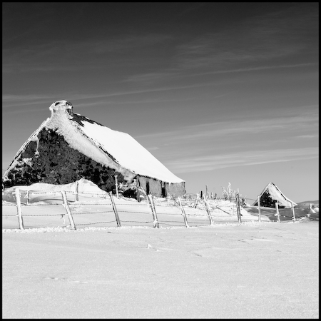 Aubrac_1