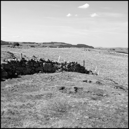 Aubrac_10