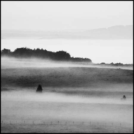 Aubrac_11