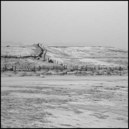 Aubrac_14