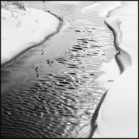 Aubrac_18