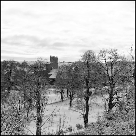 Aubrac_20
