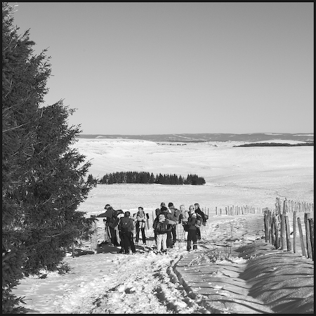 Aubrac_24
