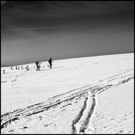 Aubrac_28