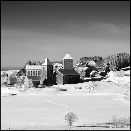 Aubrac_30