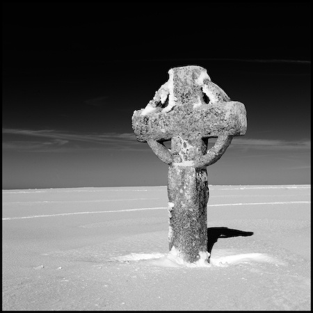 Aubrac_32