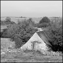 Aubrac_26