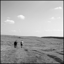 Aubrac_27