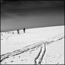 Aubrac_28