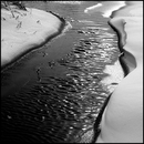 Aubrac_33