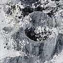 Picture_037