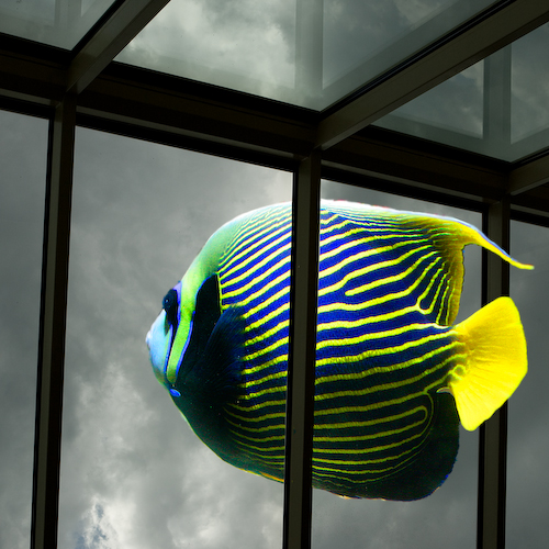 Aquarium