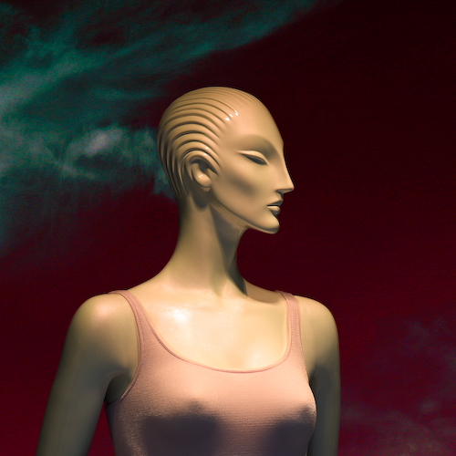 VenusDailleurs