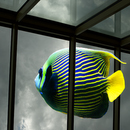 Aquarium