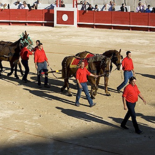 Corrida004
