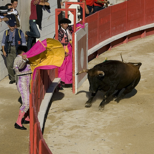 Corrida009