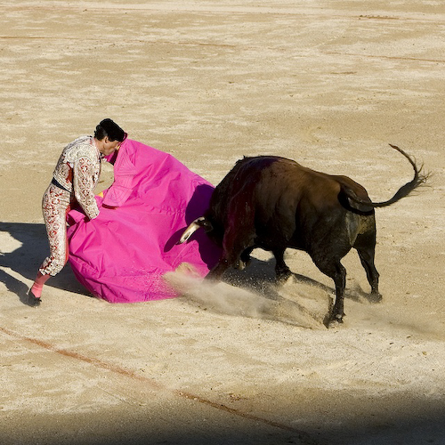 Corrida010