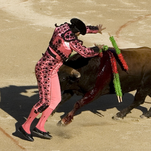 Corrida017