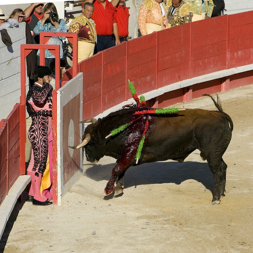 Corrida018