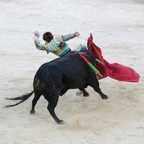 Corrida028