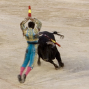Corrida020