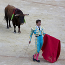 Corrida024