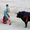 Corrida025