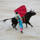 Corrida027