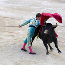 Corrida029