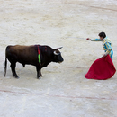 Corrida032