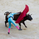 Corrida033