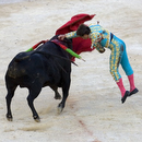 Corrida034