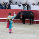 Corrida035