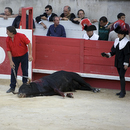Corrida037