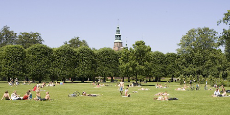 06060411P