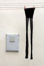 08050242V