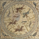 08050475C